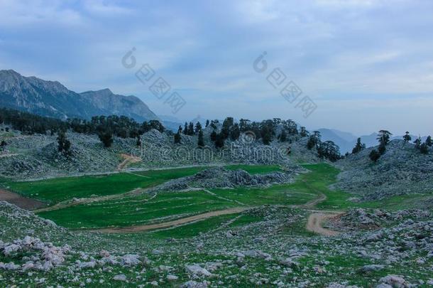 山多岩石的风景,松树森林和绿色的草地