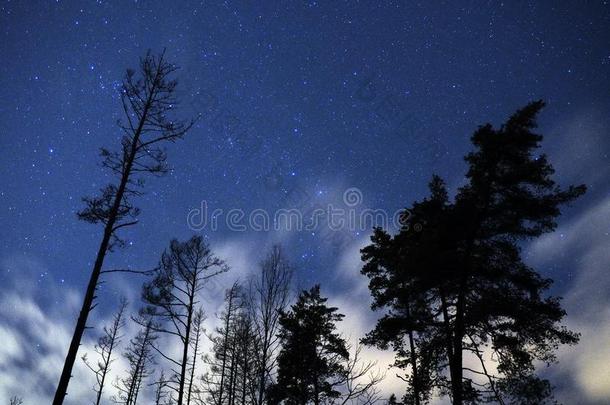 夜天specializedtrainingandreassignmentstudents经过专门训练后再分配的学生仙后座星座越过