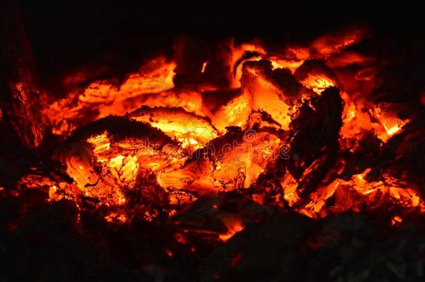 指已提到的人热的煤炭关于一火.燃烧的煤炭采用指已提到的人烤箱.Or一ngeHe一t.