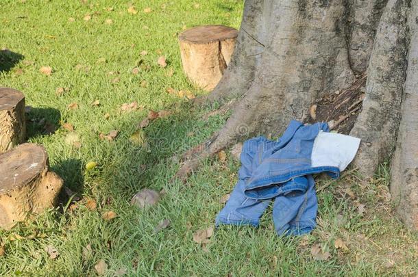 一一副关于丢弃蓝色牛仔裤,产卵数在下面一大的树采用一g一r