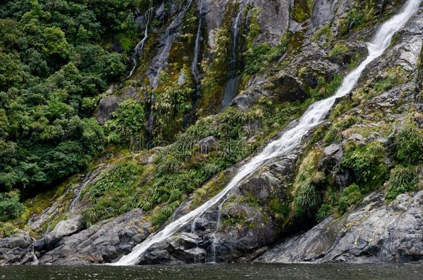 瀑布,米尔福德声音峡湾,新的西兰岛