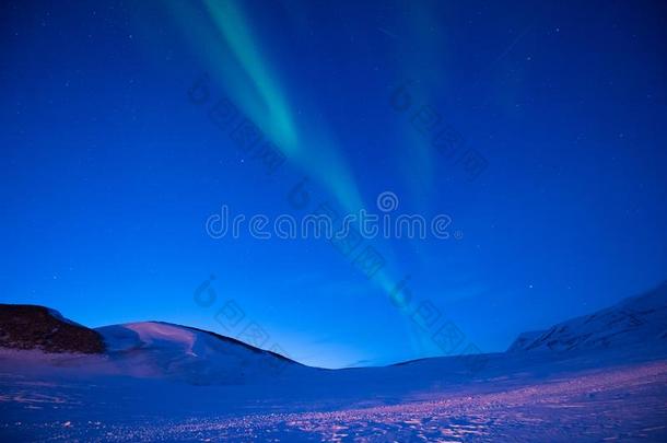 极地的北极的北方的家畜的肺脏晨曦北欧化工天星采用挪威