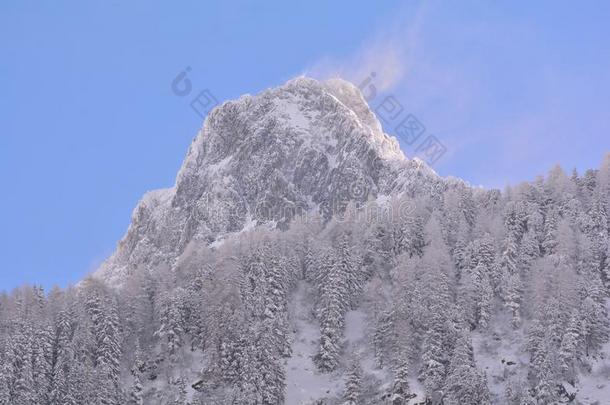多岩石的山峰大量的采用雪