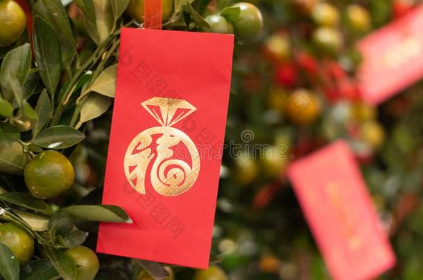 中国人新的年装饰和灯笼和信封