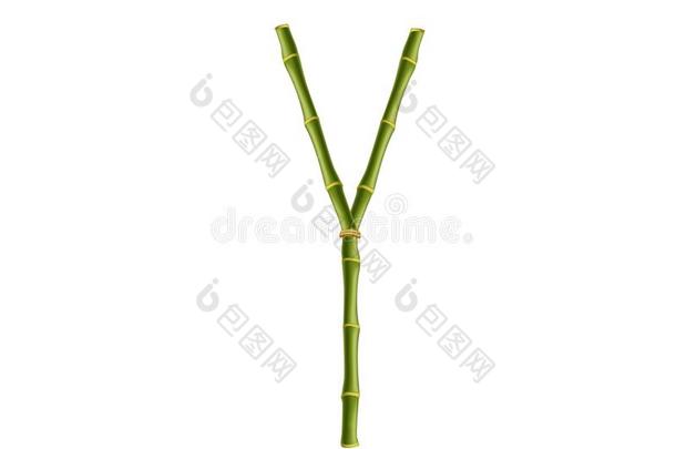 首都信英语字母表的第25个字母使关于绿色的竹子极向白色的背景