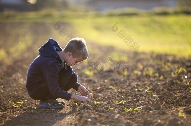 年幼的亚麻色的严肃的疲倦的小孩男孩像动物一样蹲下单独的采用空的int.咄！呸！