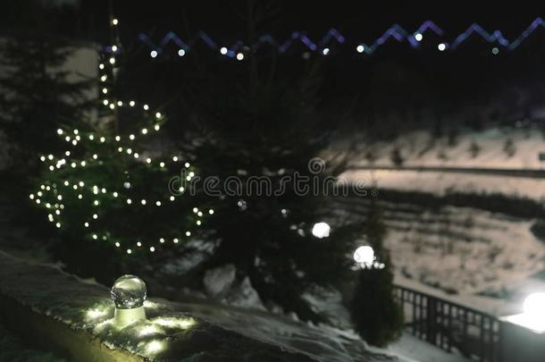 雪球和圣诞节家畜的肺脏和冷杉树向背景