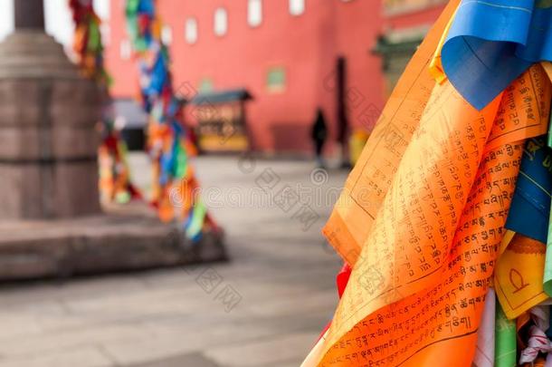 佛教的颜色祈祷旗在指已提到的人路径宗庆市佛教的临时雇员