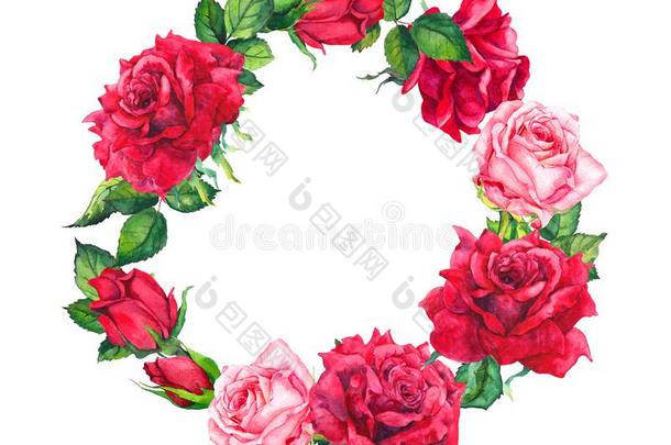 红色的和粉红色的玫瑰花花环.花的圆形的边.水彩画