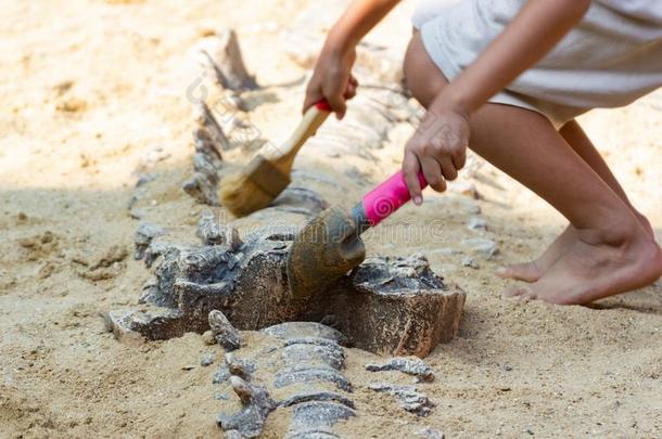 孩子们学问关于,挖掘恐龙化石模仿