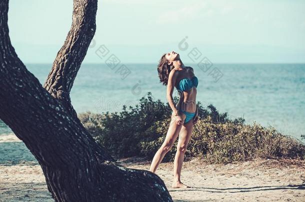 时尚模型采用游泳衣sanb在h采用g在海在近处树.夏日时光