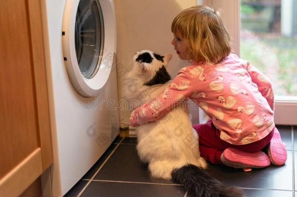 女孩热烈地拥抱猫采用厨房