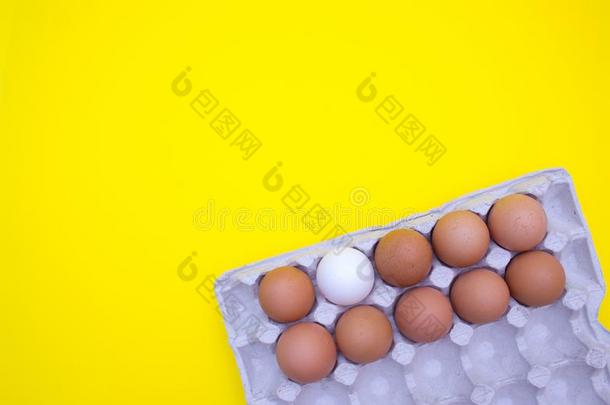鸡蛋,鸡蛋s向一黄色的b一ckground.鸡蛋tr一y