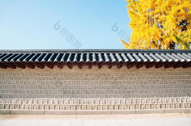 朝鲜人传统的墙和秋<strong>黄色</strong>的<strong>银杏树</strong>树采用首尔,