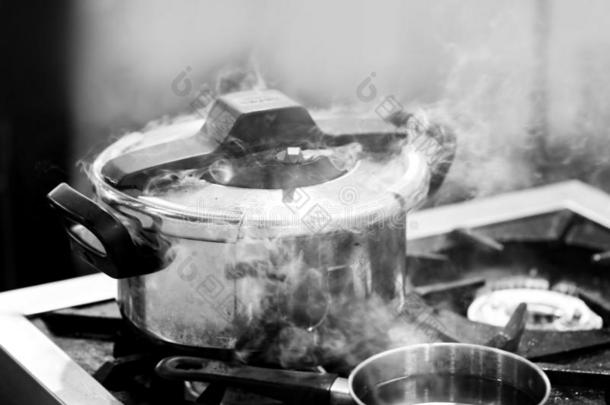压炊具蒸汽越过烹饪术采用一厨房