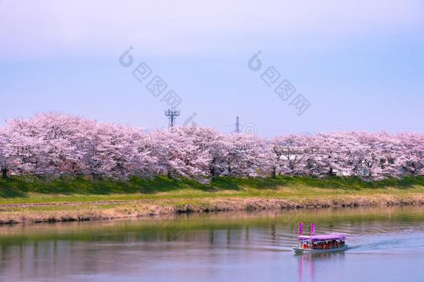 白川方明。-海啸很棒仙女座库拉岛