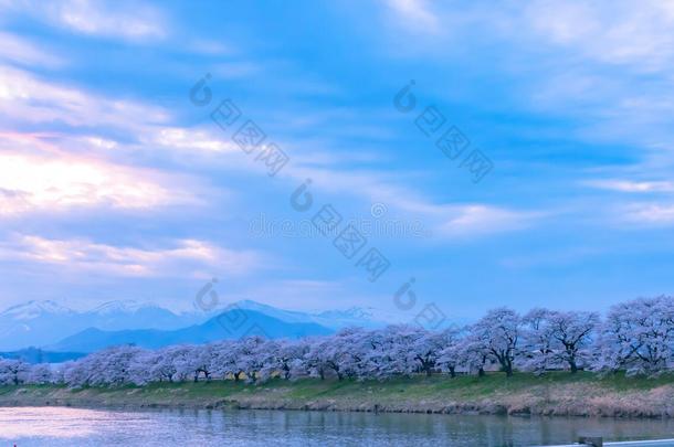 白川方明。-海啸很<strong>棒仙女</strong>座库拉岛