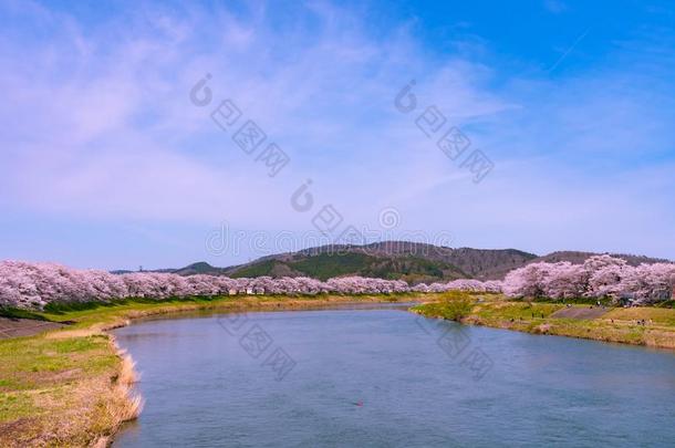 白川方明。-海啸很棒仙女座库拉岛