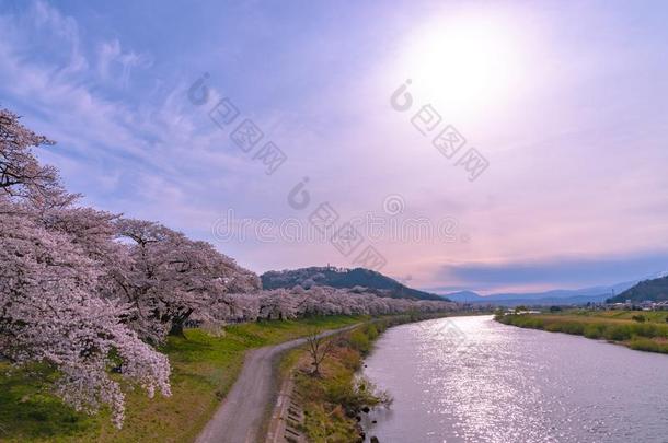 白川方明。-海啸很棒仙女座库拉岛