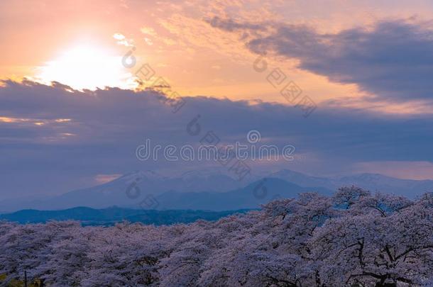 白川方明。-海啸很棒仙女座库拉岛采用日落