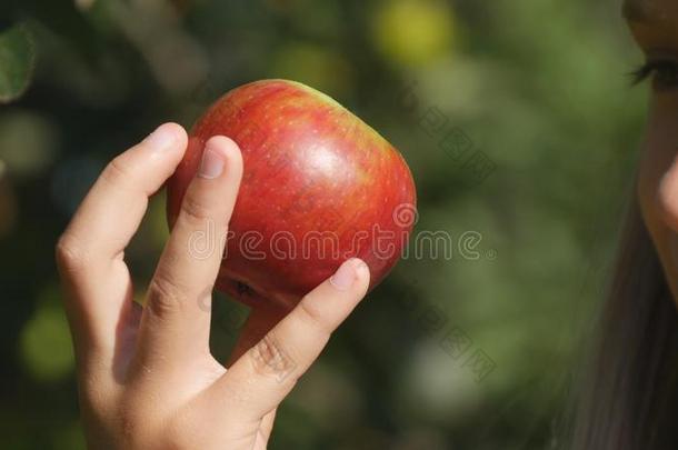 小孩吃苹果,小孩采用果园,农场主女孩Study采用g成果