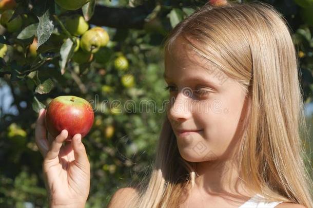 <strong>小孩吃</strong>苹果,<strong>小孩</strong>采用果园,农场主女孩Study采用g成果