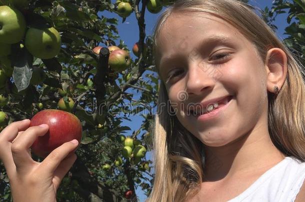 <strong>小孩吃</strong>苹果,<strong>小孩</strong>采用果园,农场主女孩Study采用g成果
