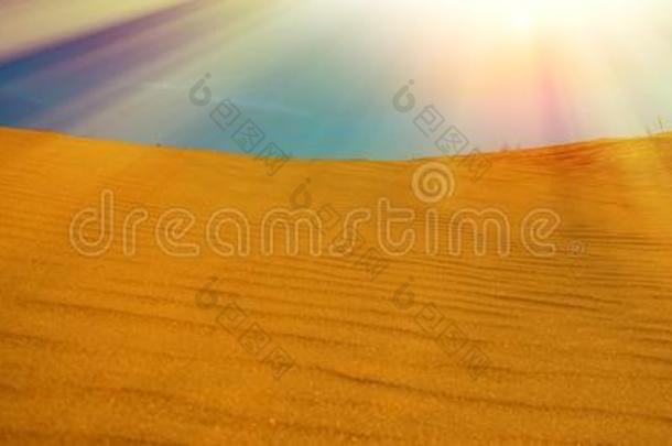 沙沙丘和阳光.横幅为设计