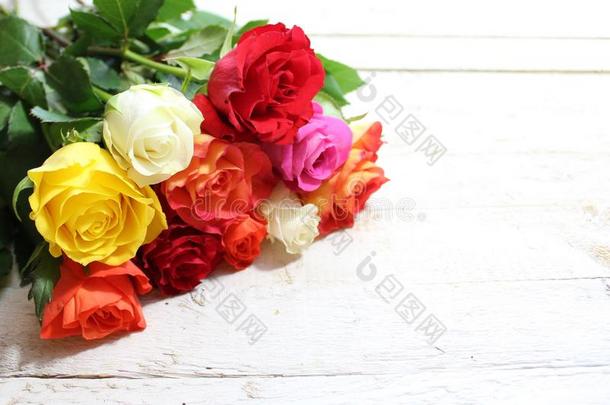 富有色彩的玫瑰向白色的木制的板