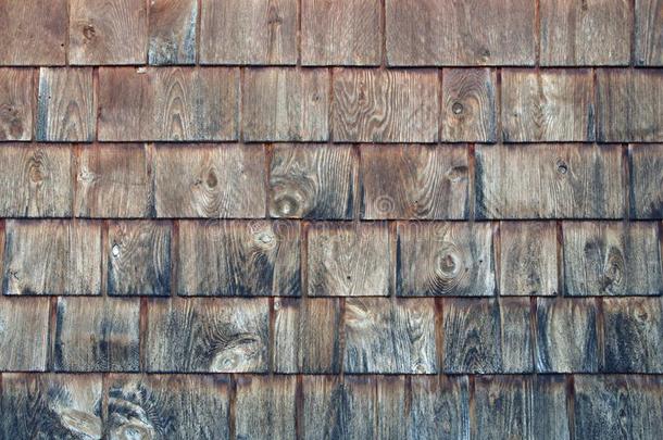 雪松木板带状疱疹背景乡村的木材模式结构