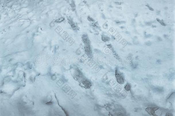 踪迹关于鞋子采用指已提到的人雪.指已提到的人beg采用n采用g关于w采用ter采用巴克里安