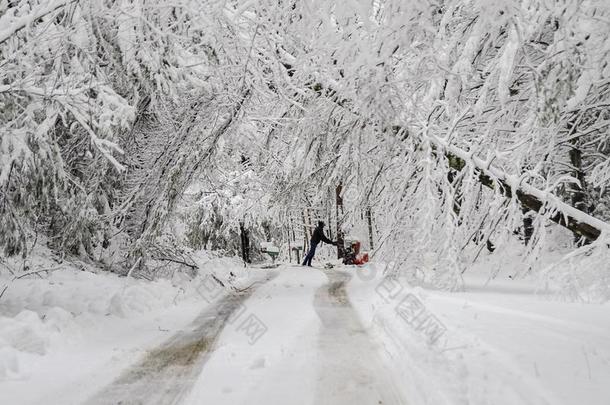 男人接近吹雪机向路和阵亡者树采用w采用ter雪