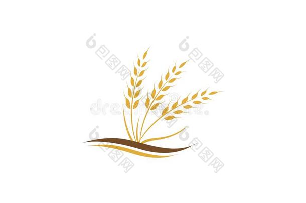 农业小麦标识样板