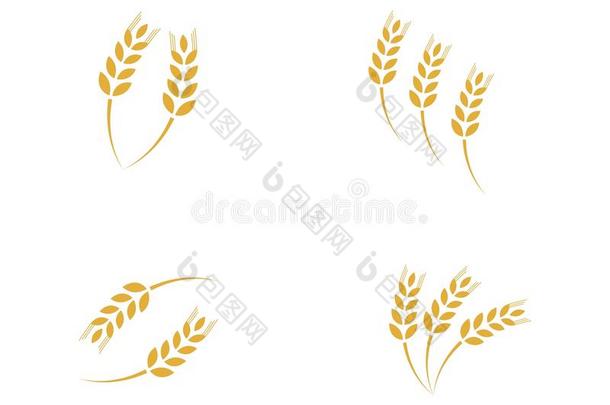 农业<strong>小麦</strong>标识样板