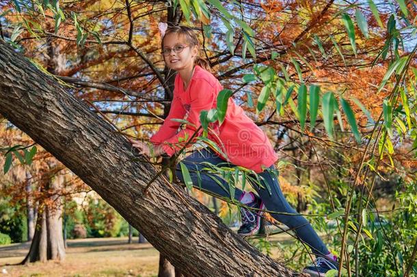 微笑的女孩攀登的树在户外向指已提到的人公园
