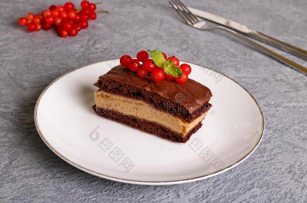 巧克力杂音蛋糕,装饰红色的无核小葡萄干
