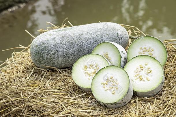 冬甜瓜是（be的三单形式将切开进入中一件向指已提到的人稻草