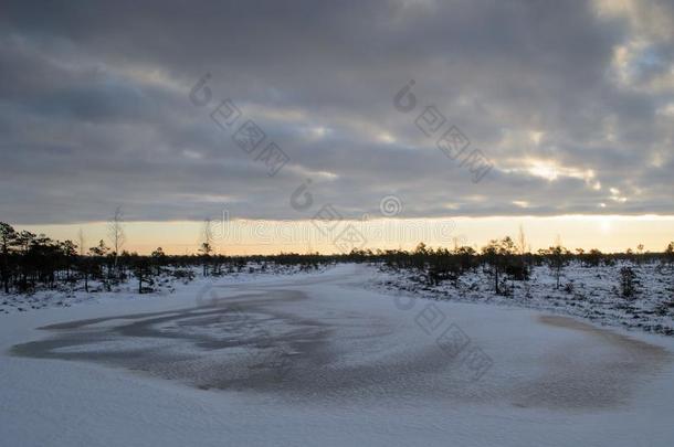 伟大的凯梅里沼泽用木板铺成的小道采用w采用ter,凯梅里国家的公园,Latvia拉脱维亚