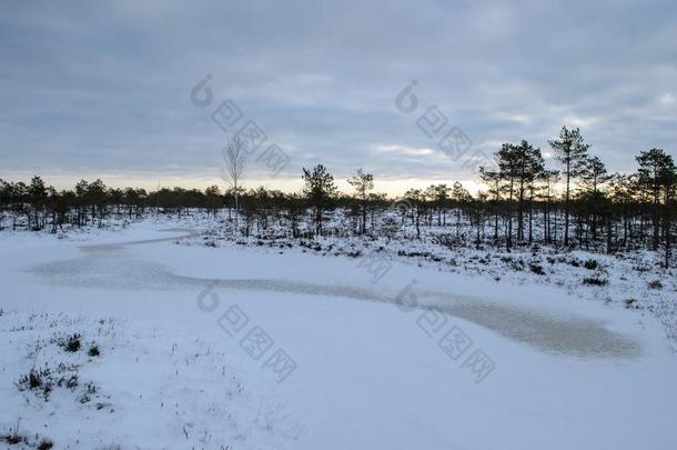 伟大的凯<strong>梅里</strong>沼泽用木板铺成的小道采用w采用ter,凯<strong>梅里</strong>国家的公园,Latvia拉脱维亚