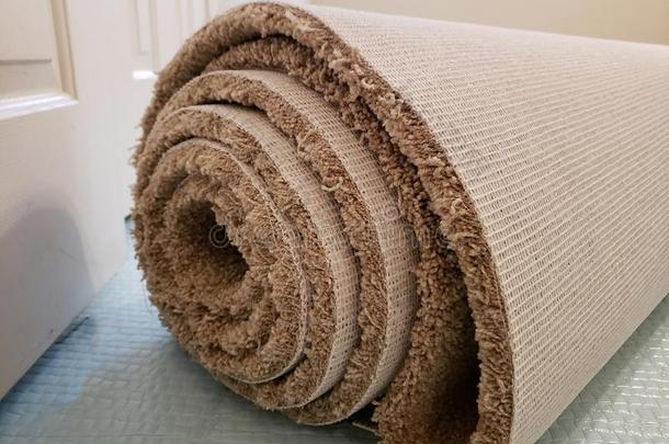 辗关于新的地毯采用指已提到的人卧室关于房屋为替换