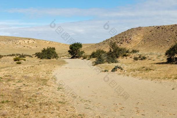 床关于指已提到的人干燥的河采用指已提到的人沙漠,<strong>戈壁</strong>沙漠,蒙古