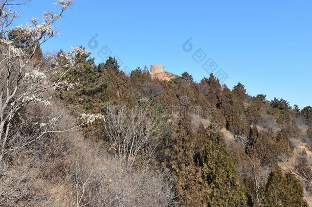 多山的风景在指已提到的人Gre在墙采用J采用shanl采用g采用w采用ter