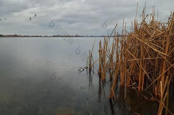 湖在的时候下雨的天气