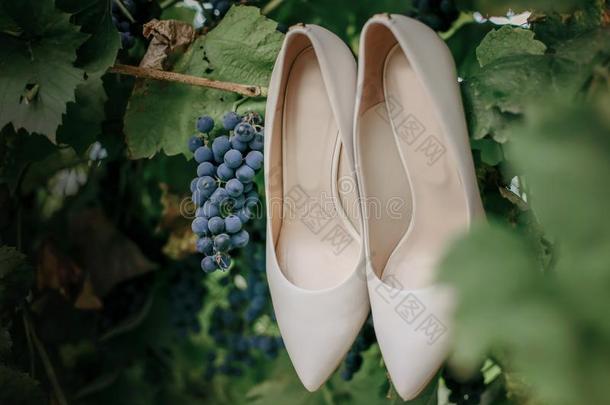 一副关于婚礼鞋子.白色的优美的婚礼鞋子