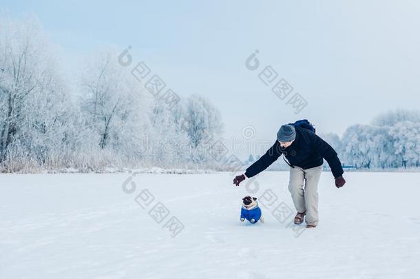 哈巴狗狗步行向雪和他的硕士.小狗使人疲乏的冬Colombia哥伦比亚