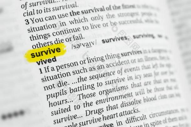 突出的英语单词<strong>幸存</strong>和它的定义在指已提到的人迪克蒂
