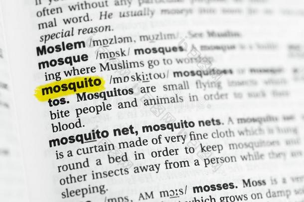 突出的英语单词蚊子和它的<strong>定义</strong>在指已提到的人芯片