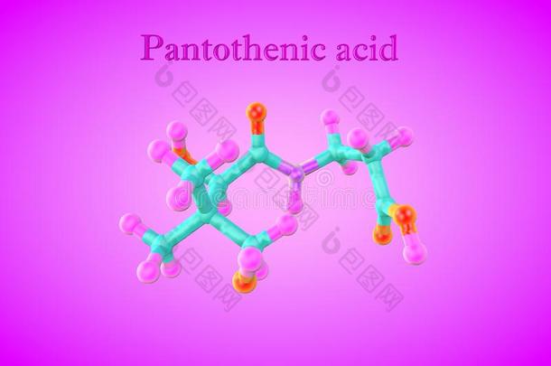 分子的模型关于泛酸的酸味的,泛酸,一w一ter-解决方案