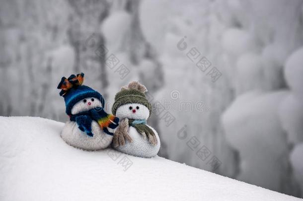 两个玩具雪人向指已提到的人雪