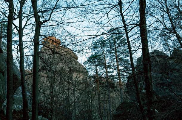 多布斯岩石乌克兰对做景观美化照片关于秋,树在外部